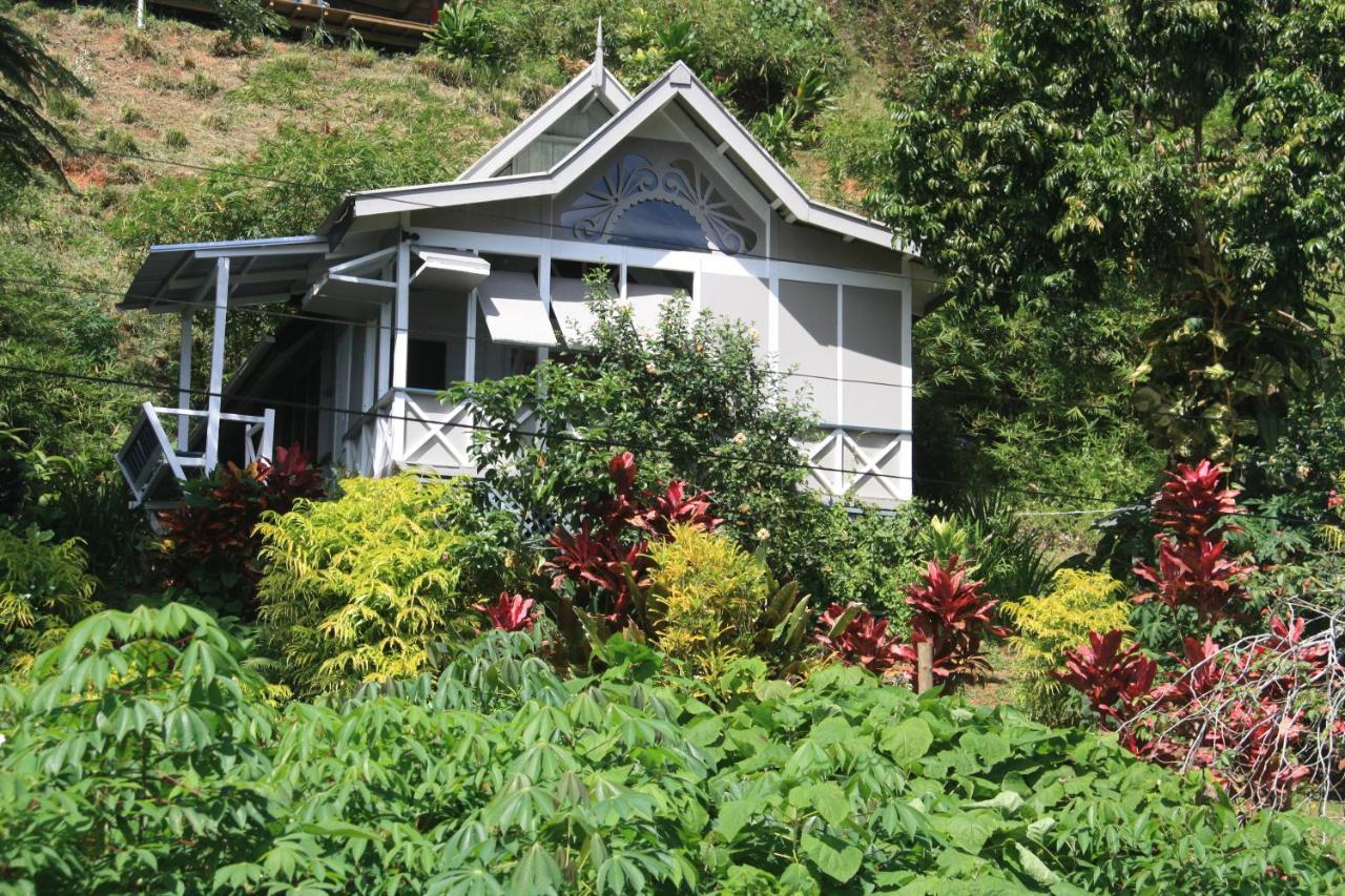 Gingerbread Cottage And Studio Fiji 사부사부 외부 사진